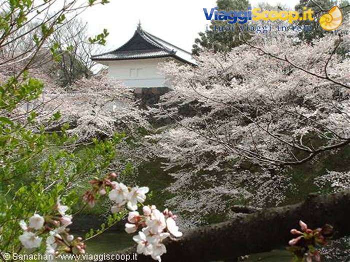 imperial palace