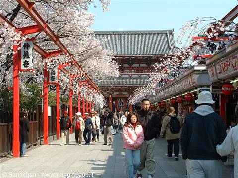 arrival in Asakusa