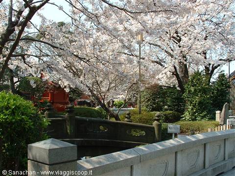 asakusa