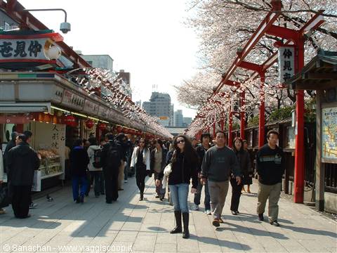 so much shopping!!!