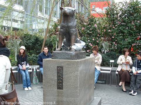 Hachiko the dog in Shibuya