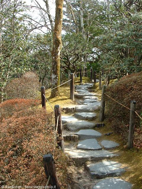 nikko