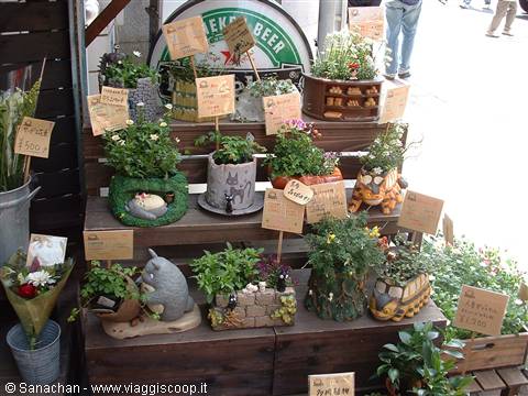 plant holders with Miyazaki characters...