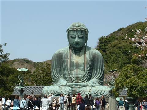 the great buddha