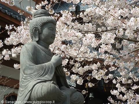 hase kannon garden