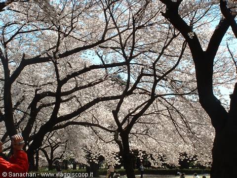tokyo bids us farewell like this...
