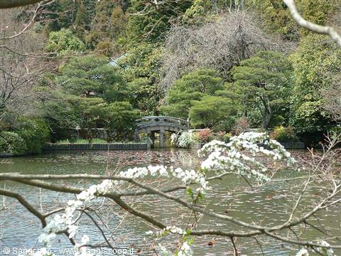 kinkakuji park
