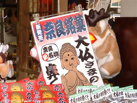 we're in nara!