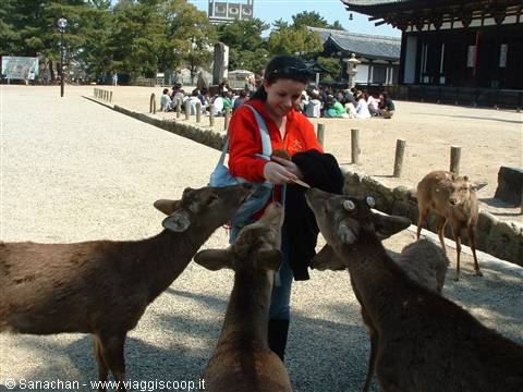 so sweet!