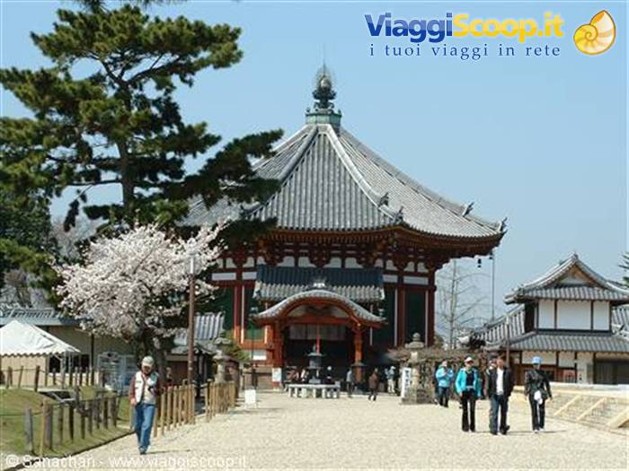 nara
