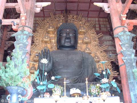 the bronze buddha, 16 metres