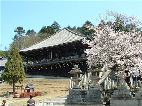 still wandering around nara