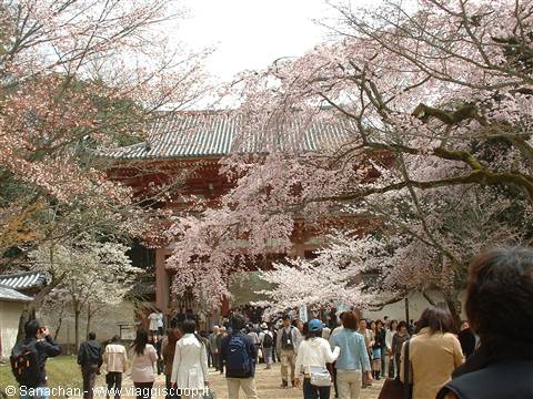 arrival at Daigo-ji
