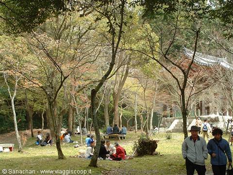 how can you not 'picnic' in places like these?