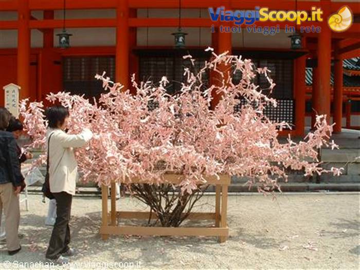 they look like flowers but they're votive slips tied to the branches