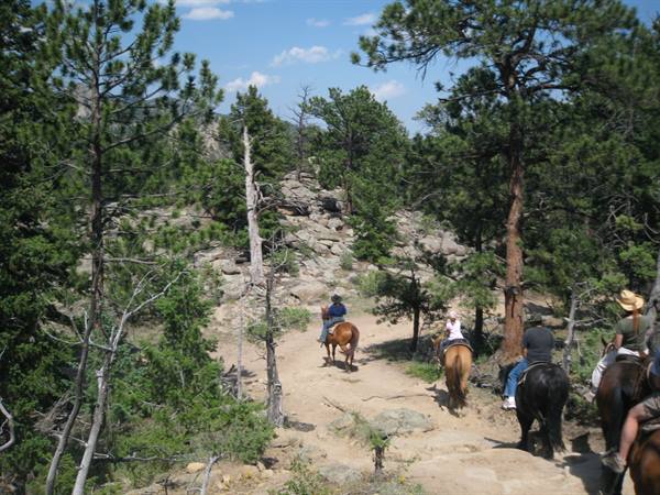 Horse trekking in the Rocky Mountains