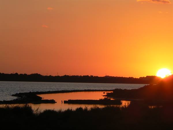Low sun over calm lagoon water, dark reeds in foreground