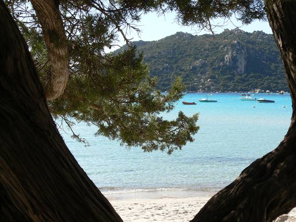 White sand beach framed by tree trunks, turquoise water with anchored boats, green headland beyond