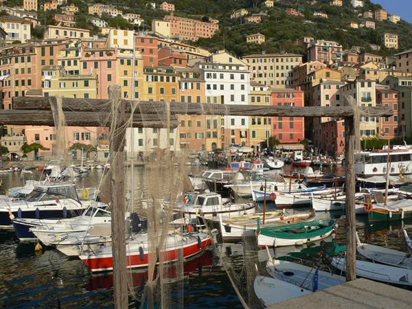 Fishing nets on wooden poles above colorful boats in Camogli harbor