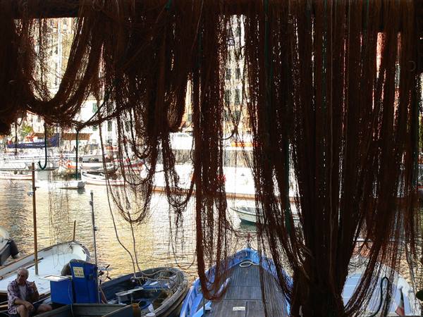 Fishing nets hanging to dry above the boats in Camogli harbor