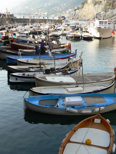 Wooden fishing boats moored in Camogli harbor, morning light on calm water