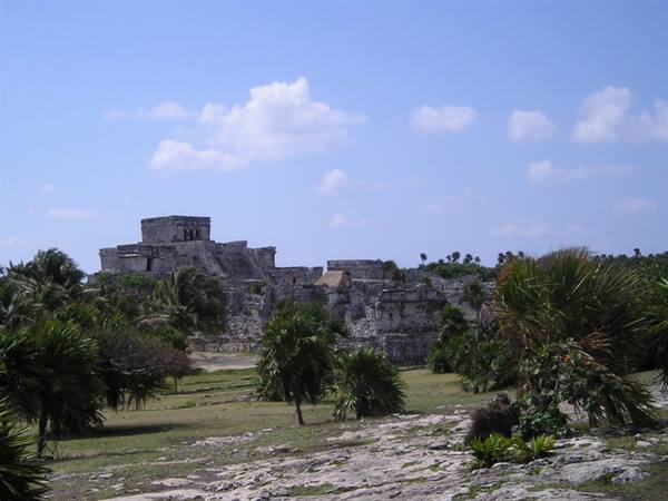 Ancient Mayan stone ruins at Tulum among palm trees under blue sky