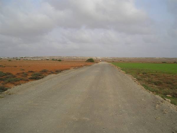 Dirt road between orange and green fields under cloudy sky