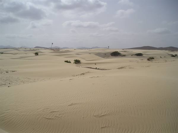 DESERT