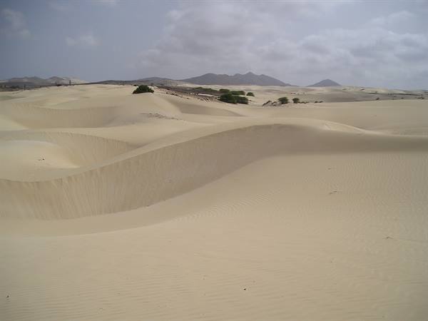 DESERT