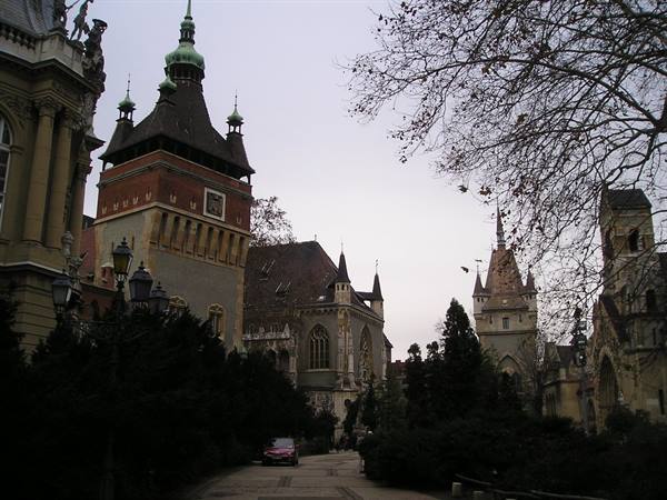 Vajdahunyad Castle in Budapest, neo-Gothic towers among bare trees under grey sky
