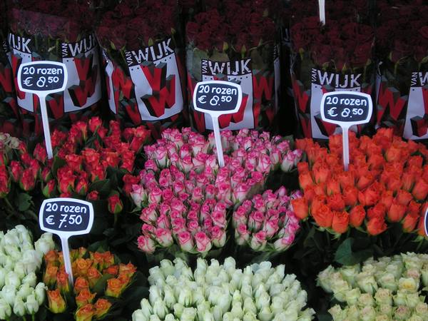 Colorful rose bouquets for sale with price signs at the flower market