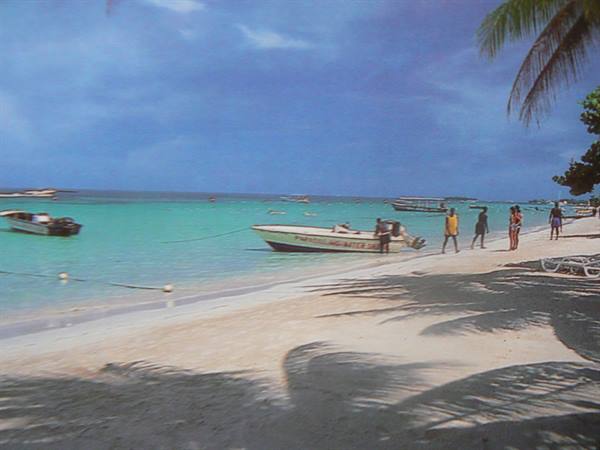 Boats moored on tropical beach with tourists and palm trees