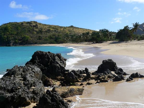 Black volcanic rocks on golden sand, turquoise waves, green hill with palm trees