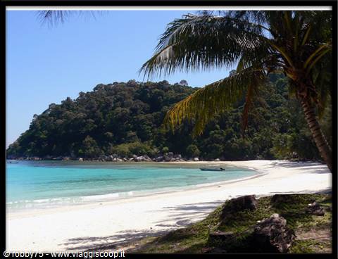 white sand beach with palm tree, small boat and turquoise water in sunlight