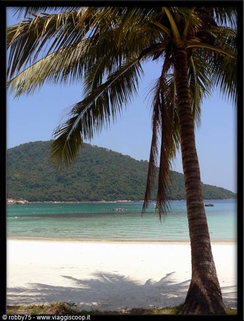 Palm tree on white sand beach, turquoise sea and green hill behind