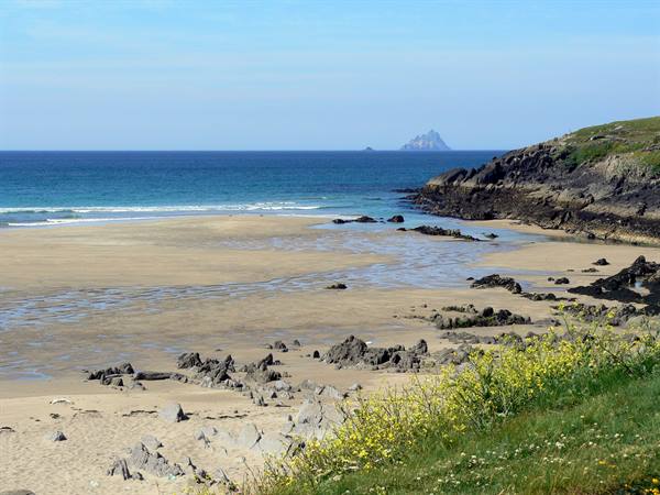 Sandy beach with dark rocks, yellow wildflowers and Skellig island on the horizon