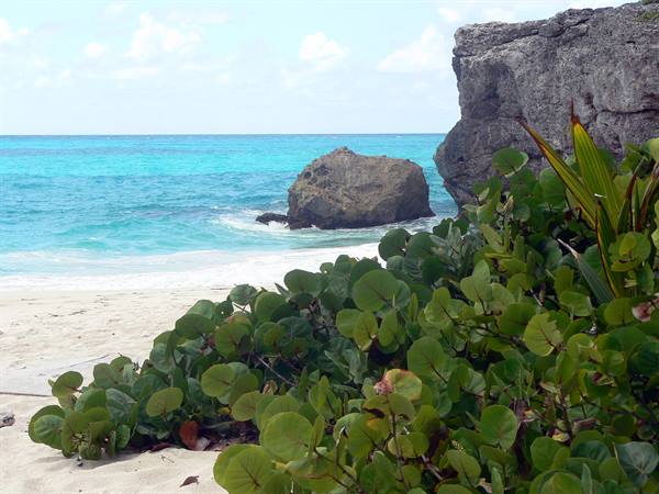 White sand, green vegetation and limestone rocks on Bermuda's turquoise ocean