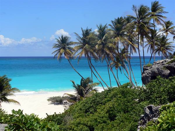 Leaning palms over white sand and turquoise sea at Bottom Bay, Barbados