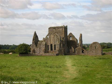 Hore Abbey ruins in Cashel, grey stone among green fields and grazing cows