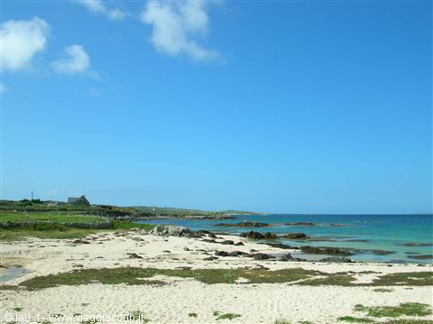 White sand beach with seaweed, rocks and distant houses in Connemara
