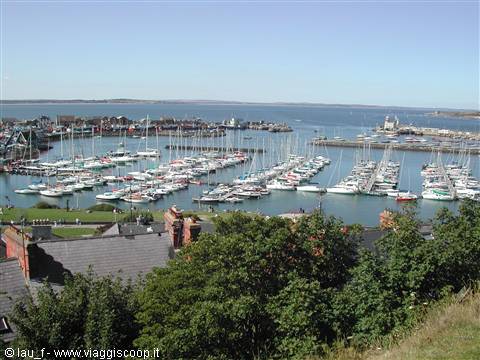 Crowded marina full of sailboats, slate rooftops and trees in foreground
