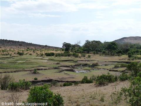Open savanna with scattered shrubs and trees, dry ground under cloudy sky