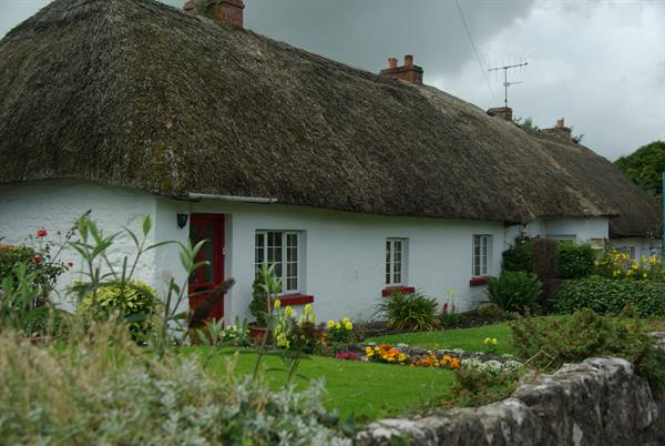 Thatched-roof cottage with whitewashed walls and flower garden, Adare