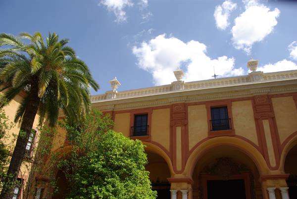 Palm tree and ochre arcades of Seville's Real Alcázar under cloudy sky