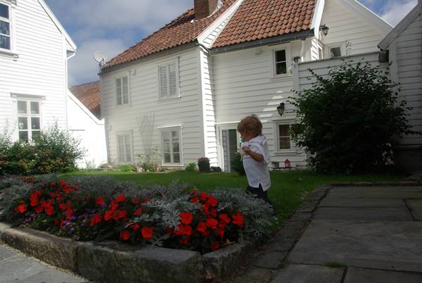 Child in garden among red flowers and white wooden houses