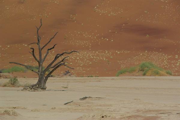 Death Valley