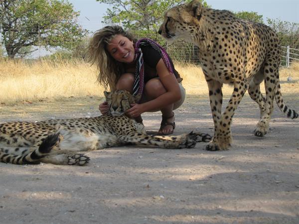 The cheetahs