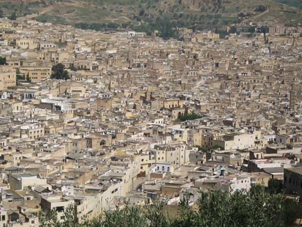 Fez medina packed with earthen houses under morning light