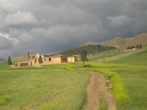 Dirt path through green fields toward brick houses, mountains under grey clouds