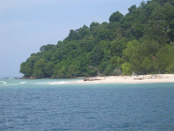 Turquoise sea and white sand beach beneath dense tropical forest